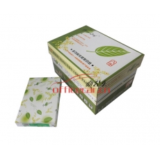 綠葉（GreenLeaf）復(fù)印紙 A4/80g 500張/包 10包/箱