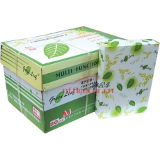 綠葉（GreenLeaf）粉紅色復(fù)印紙 A4/80g 500張/包 10包/箱