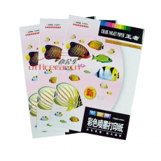 安妮 Anne 王者魚108g彩色噴墨打印紙A3*