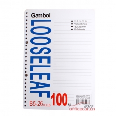 渡邊 Gambol LL0101 B5活頁紙 26