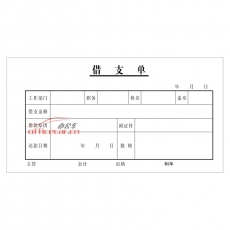 主力/華苑 H.Y 48K 借支單 20本/封