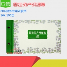 立信 L.X 固定資產(chǎn)明細(xì)賬 100頁(yè)