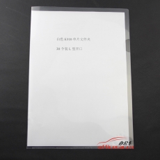 華文達 H.W.D E310 二頁文件套/資料套 A4  透明 30個/包
