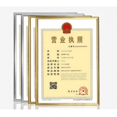 金隆興 Glosen 鏡框 （金色） A3 適用營業執照（正本）