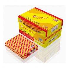 金絲雀（Anary）復印紙 A5/80g 500張