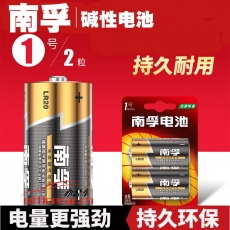 南孚 LR20-2B 1號堿性電池 2粒/卡